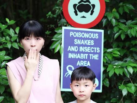 带娃出国游玩,这些警示牌一定要认识,不然容易吃大亏!#妈妈dou知道 #奇妙知识在抖音 #一年一度妈圈大会 #知识科普 #涨知识