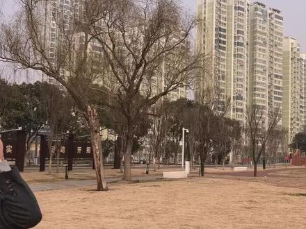 童年的纸飞机,它能飞到哪里?50米!#生活小窍门#记录真实生活点滴 #纸飞机飞行挑战