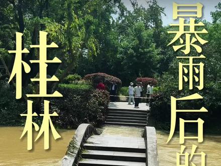 桂林最近雨下疯了!漓江水位暴涨,象山景区的桥都被淹了,但还是超美!!超值得来 #桂林漓江 #桂林旅游避坑指南 #桂林旅行vlog #象鼻山