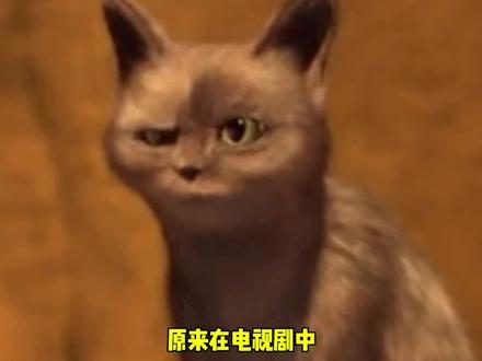 破案了,主角不死的原因找到了 #万万没想到 #娱乐评论大赏