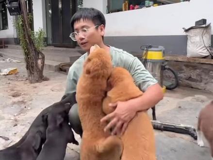 谨以此纪念世间唯一的莲梅#骏良 #莲梅