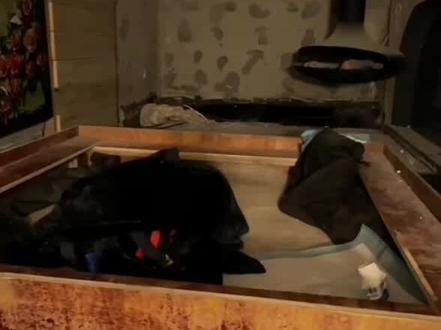 哈妹这生气气的小眼神🤣#哈妹 #土松小米 #哦可爱可爱