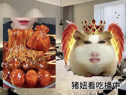 猪妞吃播之旅第三季#猪妞