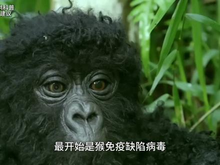 一条视频彻底弄懂尼帕病毒,怀有敬畏之心,比盲目恐慌更重要! #掘金计划2026 #科普一下 #尼帕病毒 #抖出健康知识宝藏 #健康乘风计划