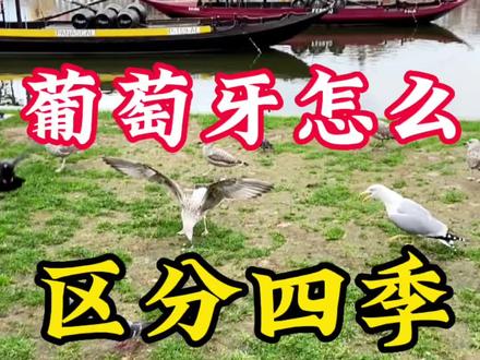 葡萄牙怎么区分四季?#记录真实生活 孟加拉同学说他们那儿一年只有三季,冬季夏季和雨季!来葡萄牙24年的俄罗斯同学说,对他来说葡萄牙只有秋季!🤣🤣 #抖音看世界 #移民 #欧洲 #海外生活
