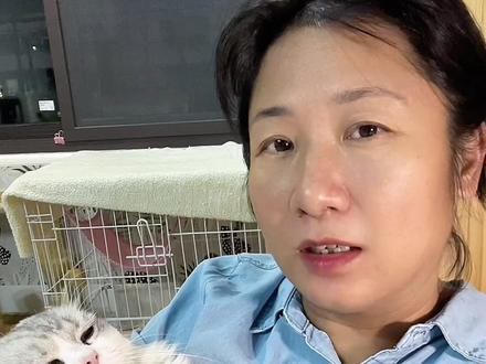 猫咪吃人药的剂量如何换算##养猫经验分享 #养猫知识