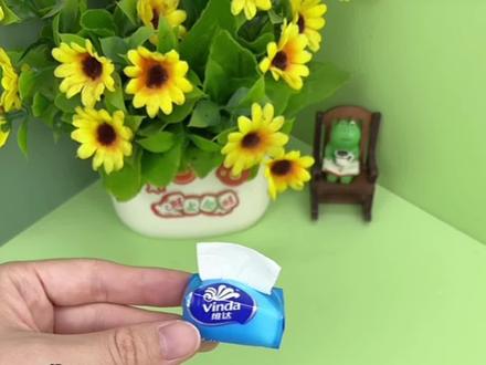 挑战制作解压迷你纸巾🧻 #创意手工 #解压 #自制小手工