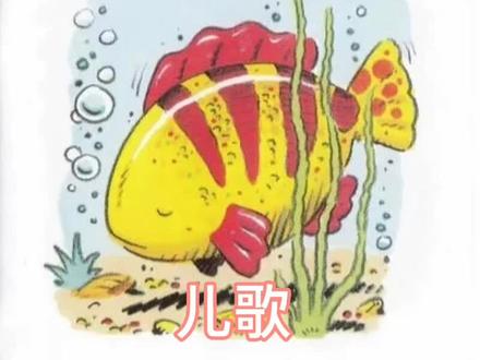 #柒频道 #合拍
《小鱼睡在哪里》