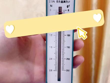 弹簧测力计的使用 弹簧测力计的使用
