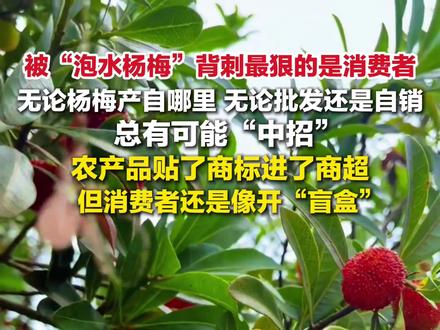 九派时评|“泡水杨梅”,折射农产品市场化之困。