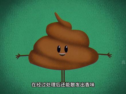 肚子里的食物是怎样变成粪便的?#科普一下 #涨知识