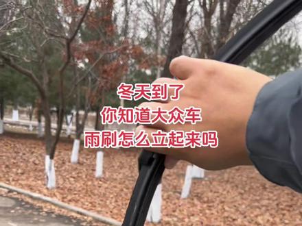 冬天到了,你知道大众车雨刷怎么立起来吗#迈腾b8 #帕萨特#探岳#途观l