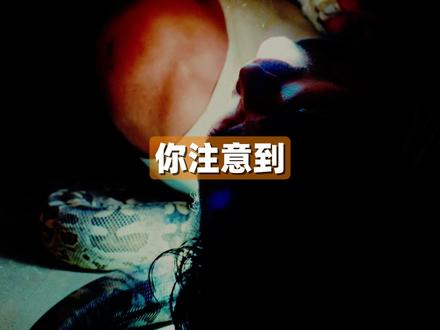 你注意到内特被蛇的惨状了吗?雅各布·阿洛蒂为此付出巨大牺牲 #亢奋 #美剧 #美剧推荐