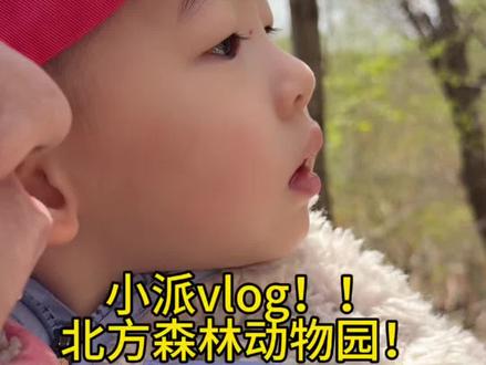 小派vlog来啦!!! 还是得多带孩子出去快乐快乐 今天学会了个新词狼~还学会狼怎么叫了!超级可爱!!!#vlog日常 #带娃出游 #亲子 #亲子日常