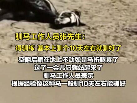 监拍一匹烈马反抗被驯,上演“后空翻”躺地不动,驯马师淡定回应:10天后见