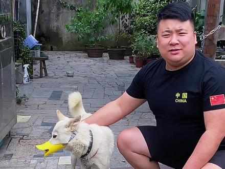 我跟小白和好了,宣布一下