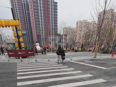 第一次看见柯基和泰迪的串哎 #萌宠日常记录 #西高地白梗