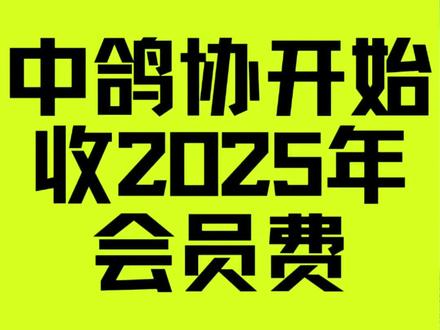 中鸽协开始征收2025年会费。#赛鸽#信鸽