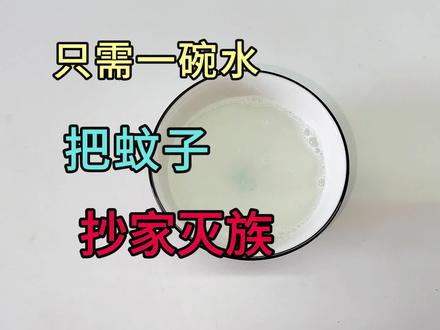 原来蚊子最怕这碗水,家里放一碗,让蚊子彻底消灭一只不剩 #生活小妙招 #蚊子 #灭蚊 #防蚊