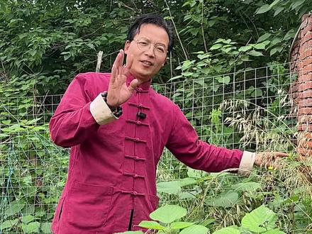 很多人不认识的野燕麦,古法炮制后,日常养生用处不小#抖音非遗计划#非遗守护人#中药炮制 #野燕麦 #草本养生