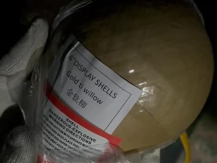 六寸金意金钛柳#向烟花许个愿 #烟花🎆