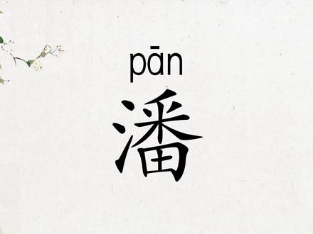 潘字笔画笔顺动画演示,百家姓潘#练字 #幼儿识字 #每日一字