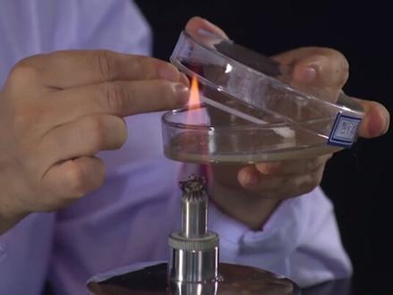 #细菌 (接昨日视频)洗手前VS洗手后