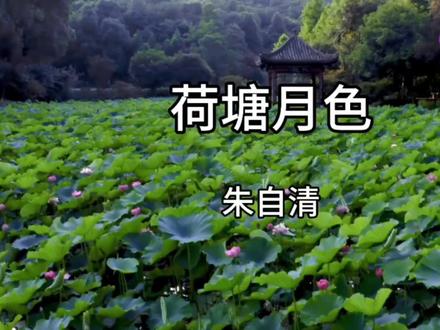 朱自清《荷塘月色》#朗诵 #散文 #语文 #高中课文#荷塘美景