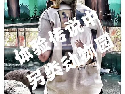 很多动物我不知道叫什么,你们知道吗?#北海道 #动物 @DOU+小助手