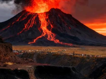 炫蓝巨狮王VS幻影灵蜂