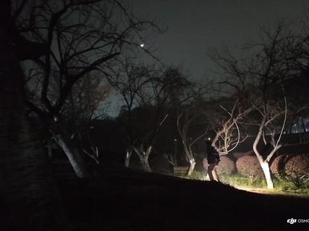 别划走!我们在学校樱花园无意间发现了一棵爱心樱花树! #樱花 #樱花园 #春天就要colorwalk #湖南科技大学 #大疆pocket3