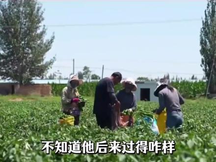 看到中国奶奶替树寻亲视频,外网网友感动不已! #沙漠变绿洲 #毛乌素沙漠 #殷玉珍