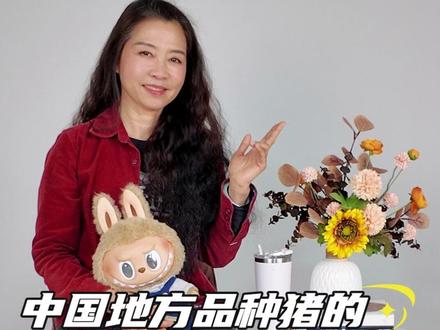 真正的“土猪”到底藏着多少秘密? 中国猪种的兴衰史,远比您想象的精彩!本地猪和洋猪,背后有多少隐情?#腾骏药业 董事长黄剑华给您娓娓道来 #土猪 #猪肉 #优质食材 #畜牧业