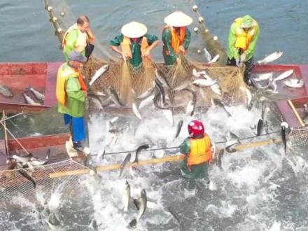 余庆方竹湖:水美鱼肥好“丰”景