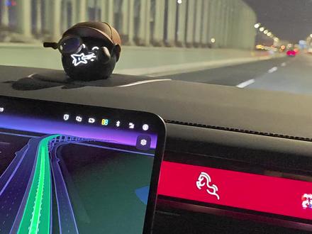 #甜蜜配方 #成何体统#nomi真的好可爱 它也很喜欢这首歌