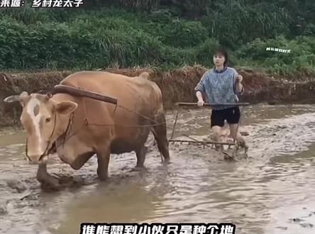 话里话外 各自有理 句句不提人 而句句不离人