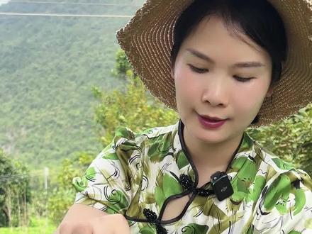 红茶分为什么样的等级呢#源头工厂 #源头茶厂 #英红九号 #金毛毫