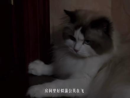 还好有对方的陪伴 让那些日子不再孤单#左航