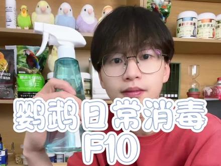 养鹦鹉需要消毒吗?怎么消毒?鹦鹉专用消毒液F10#手养鹦鹉 #鹦鹉消毒 #单眼伤风