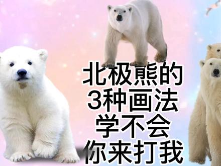 北极熊怎么画,北极熊简笔画教程,超级简单的北极熊亲子儿童绘画 #北极熊 #萌宠 #毛茸茸 #超可爱 #简笔画教程 #简笔画