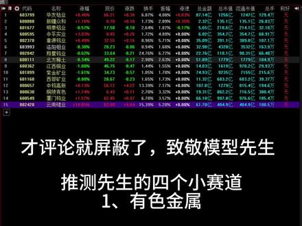 推测模型先生的4个小赛道,致敬模型先生!拿去不谢@大曾子用盆接#投资#股票