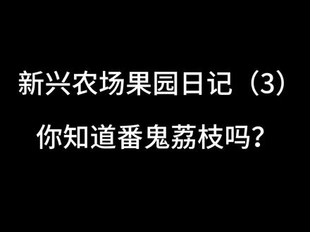 广东人俗称的“番鬼荔枝”,号称世界上最甜的水果,也是世界十大稀有水果之一。你吃过吗?#橱窗下单 #释迦果 #番鬼荔枝 #新农人计划2022