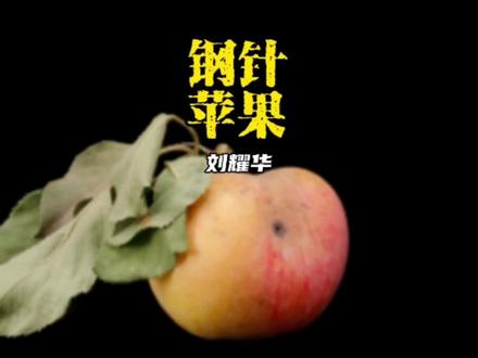钢针苹果,刘耀华#艺术在抖音 #雕塑 #行为艺术 #艺术也疯狂