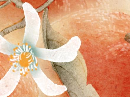 过年必画!“大吉大利”桔子图教程 ✅笔刷|桃B搜【茶子鱼插画】
里面有我创作的144只笔刷,适用于水墨国风水彩插画的绘制。如果你喜欢国风系列,这一套就对了#绘画 #procreate绘画 #零基础学画画 #国风 #插画