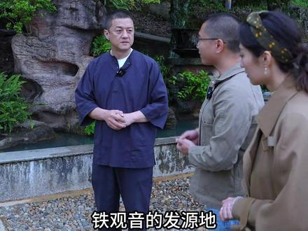 探寻安溪铁观音,位于南山上的铁观音母树 #风华计划 #铁观音发源地