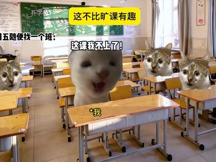 这不比旷课有趣? #搞笑 #猫meme #万万没想到 #猫meme故事 #旷课