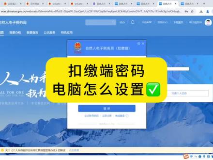 自然人电子税务局扣缴端密码设置流程#个体户 #公司 #报税 #会计 #记账报税