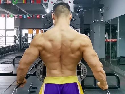 长期大重量突破不了~或者容易受伤~就要考虑是不是一些小肌群锻炼太少了~#健身 #健身干货 #健身小白必看经验 #手臂