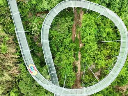 怀化大峡谷买票是个技术活,一不小心就踩坑!目前国庆套票的抖音价格是168,一家几口还是可以省点钱的!#丰收在湘西 #来湘西过一个浪漫的秋天 #国庆dou来怀化嗨 #旅游攻略