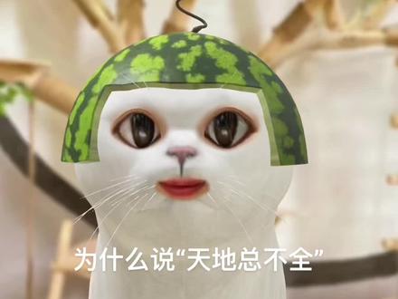 为什么说“天地总不全”:人生的不完美和缺憾,正是修行的必需内容。#玄学 #修行 #修心修行